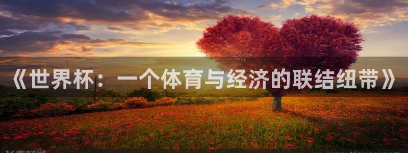 世界杯:《世界杯:一个体育与经济的联结纽带》