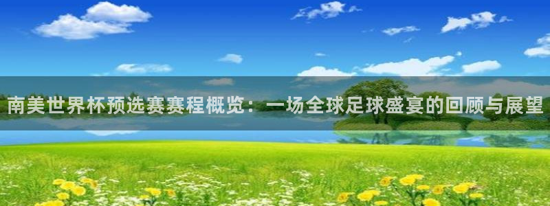 世界杯比赛赛程:南美世界杯预选赛赛程概览:一场全球足球盛宴的回顾与展望