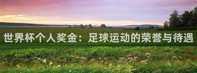 欧洲区世界杯预选赛:世界杯个人奖金:足球运动的荣誉与待遇