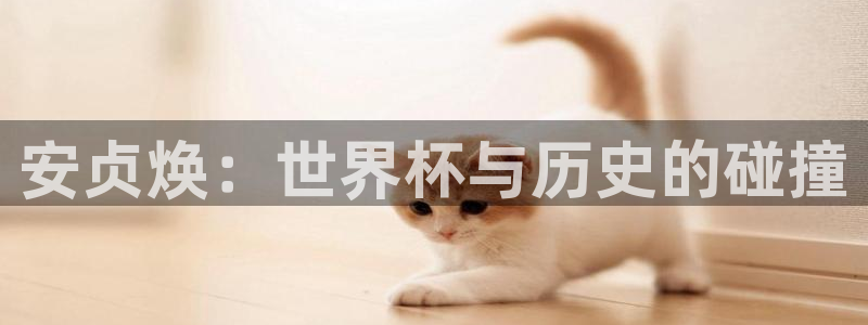 2026年足球世界杯赛程时间表:安贞焕:世界杯与历史的碰撞